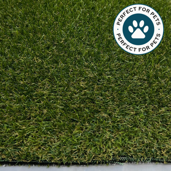 Pet30 Artificial Grass